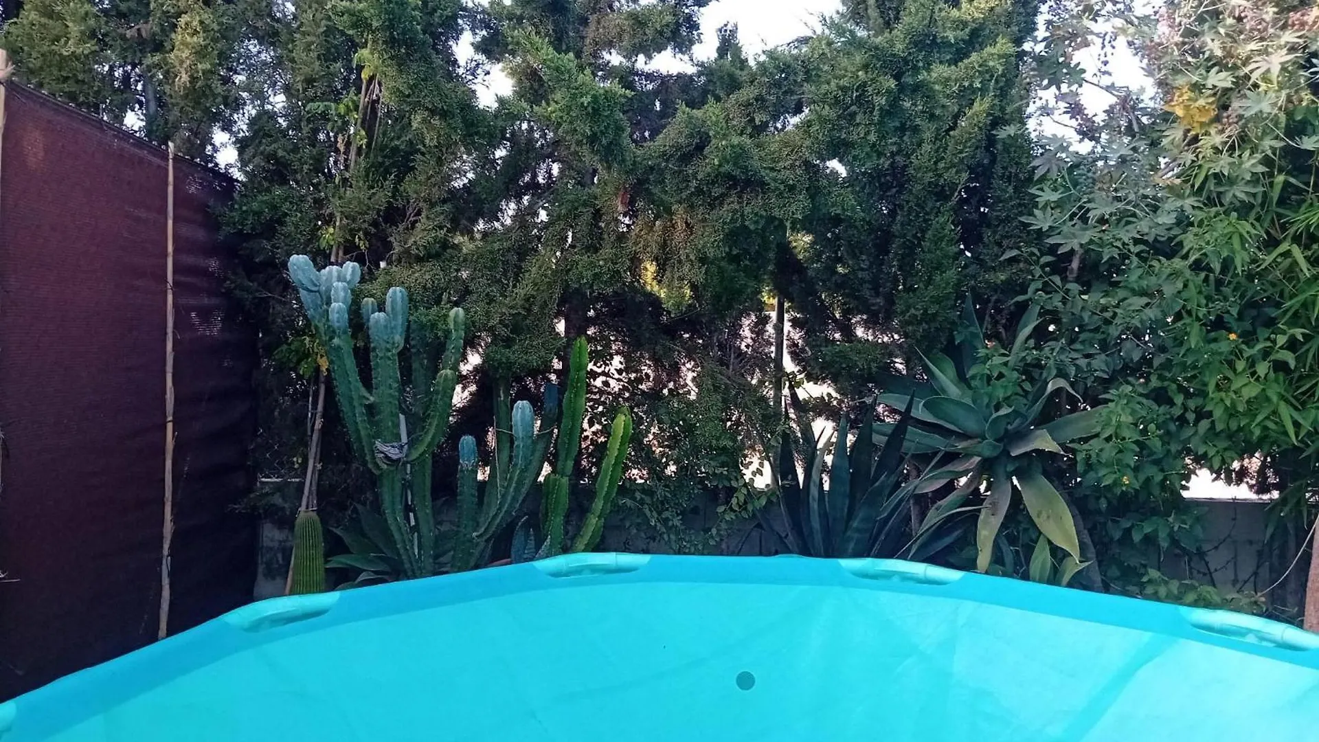 Вилла Idilica Casa De Madera En Roche Кадис